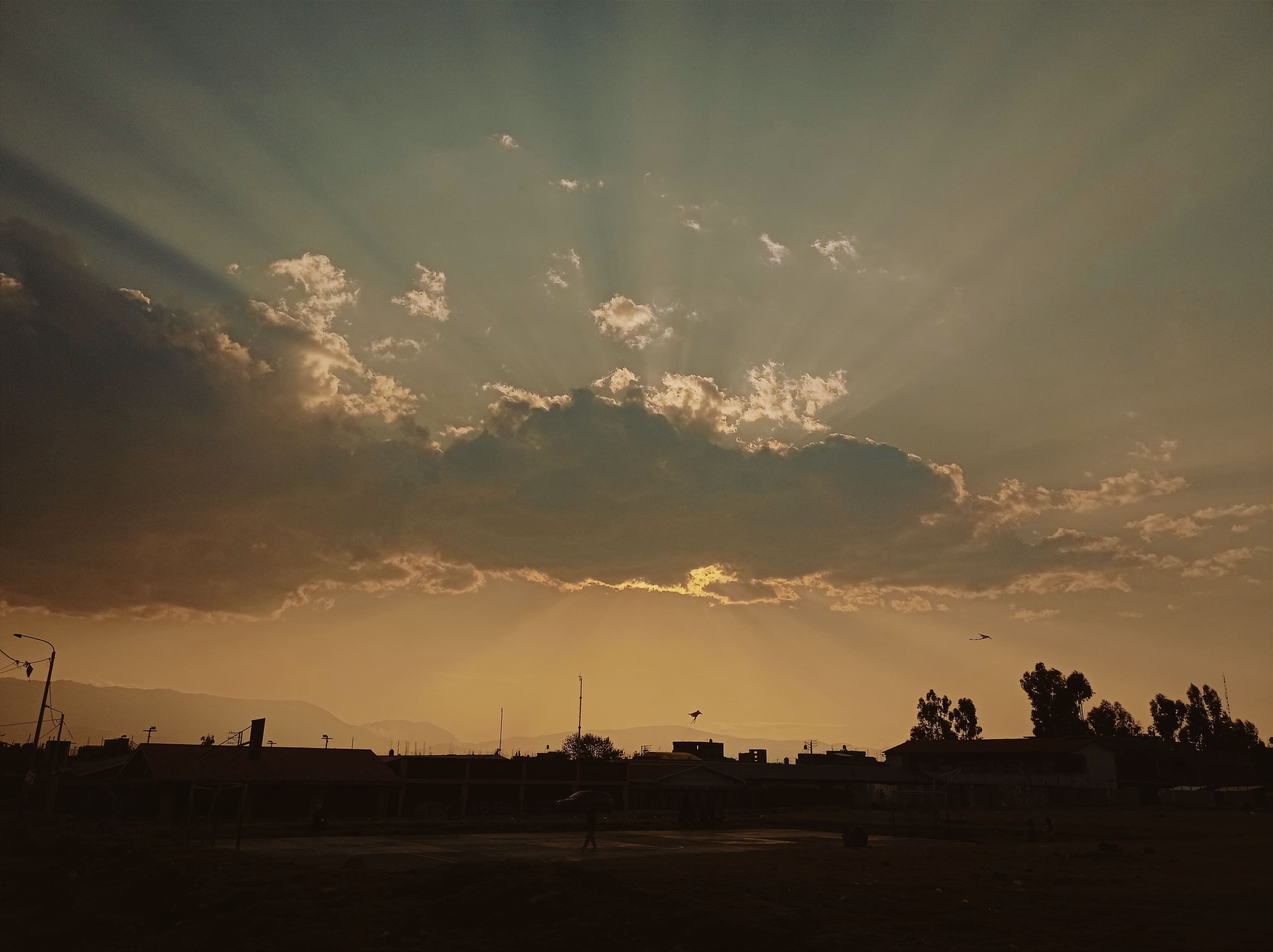 sol
